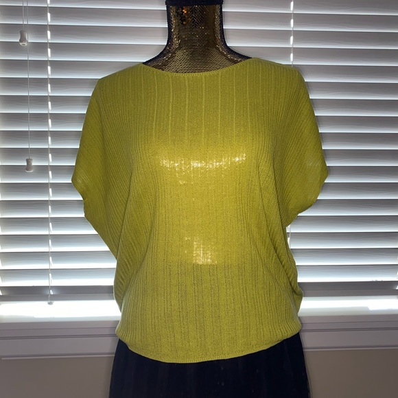 Tops - Uniqlo sheer top